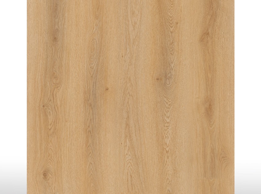 SPC Acoustic | Forest Oak  - Micro biseau - 9,5 mm